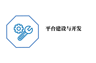 平臺建設與開發(fā)